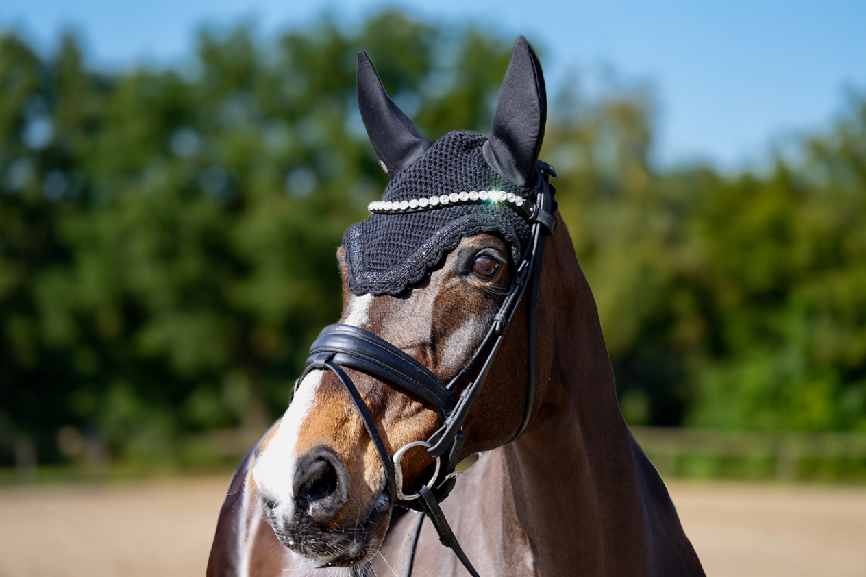 PIAF fly bonnet